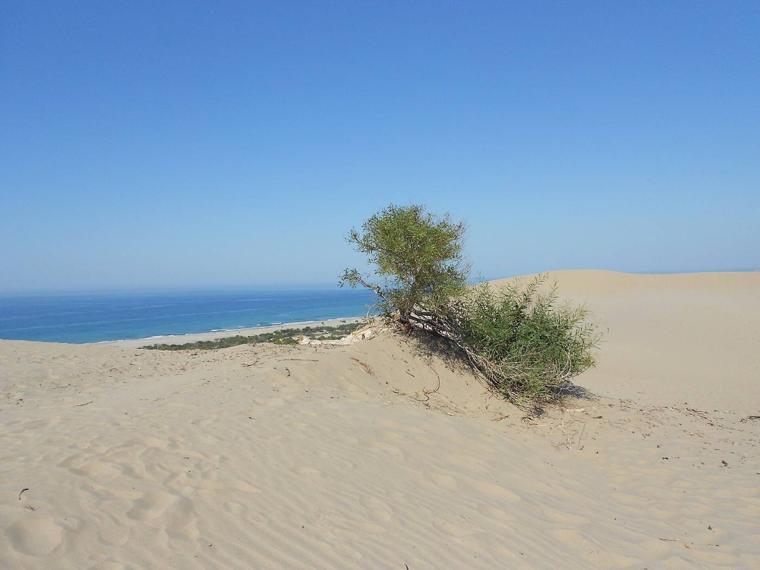 Patara Plajı